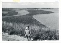 Little boy standing on edge of road with Paul Hansen's strip cropping in background, 1962