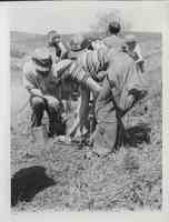 Small group of six people clustered together with three of them bent over studying something on ground