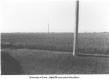 Grayson Siding, Iowa. MILW