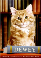 Dewey