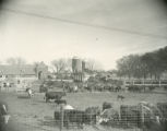 Cattle Barn fire, 1958