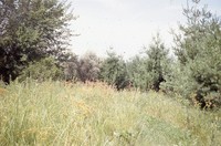 Lundquist farm pond and wildlife areas.