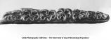 Pleistocene Fauna, inferior molars of Equus scotti, Gladwin Horse, found in southwestern Mills County, Iowa, late 1890s or early 1900s