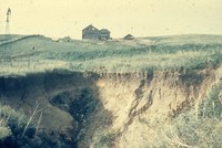Dry gully.