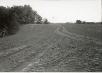 1995 Terraces on Dale Edmonds' Farm