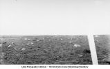 Boulder field, Newton Township, Iowa, late 1890s or early 1900s