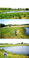 Louisa County SWCD conservation tour, 2005