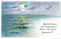 I'm Lonesome