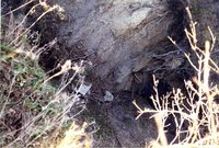 Photograph Collection Labeled Rhodes &amp; DNR, 2003
