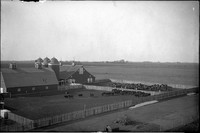 AG 200  Cattle on farm