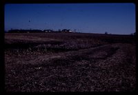 Grounds at the Methodist Church Camp. 