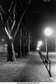 Pentacrest in winter, The University of Iowa, ca. 1925