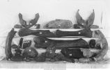 Pleistocene Fauna, fossil bones from southwestern Iowa, late 1890s or early 1900s
