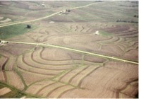 Noonan farm buffer strips