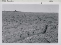 Rill erosion in Delhi Township; Delaware County, Iowa.