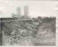Two silos stand in back of field with various plants growing on it
