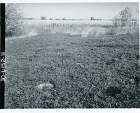 Coal mine spoil area, 1966