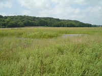 2007 Jack Strawhacker photos of pastures and ponds