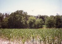 1996  Photos of Shining Trail Girl Scout Council  (GSC) Camp La-Kee-Ta in Danville, Iowa