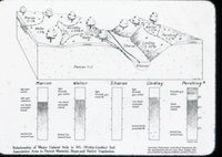 Upland Soil Chart