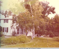 View of plantings around front drive