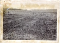 Waterway construction and strips upland