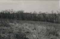 Nick Nichols' Farm.