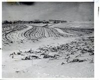 Wilson Bros. land in winter