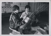 Tree seedlings distribution.