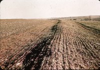 Chiseled terraces.