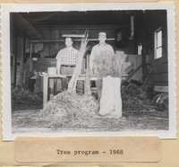 Tree Program - 1968.