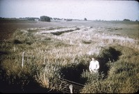 Man stands in a gully.