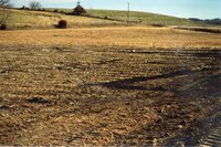 1999 Shallow water wetland established on Robert Yaeger farm