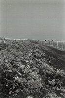 Muddy fields