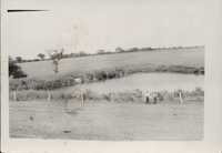 Dr. Freeman Davis with his family in front of his farm pond.