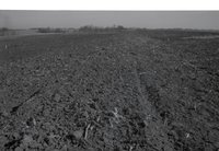 Unidentified Black and White Negatives from Soil Conservation Service taken in 1979