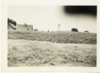 Blue Grass Drying on School Grounds in Orient, Iowa