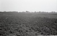 Views of Pasture and Grasslands