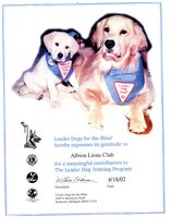 Albion Lions Club - certificate 2002