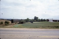 Windbreak on Tim Perrin's farm.
