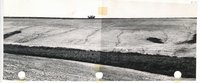 Roger Stewart farm, 1957