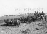 Mule-driven threshing machine, 1931