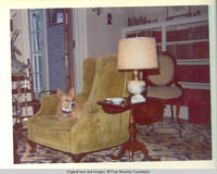 Corgy sitting in chair in parlor looking left 