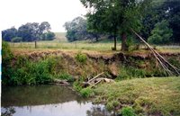 Bob Kremer's land, 2001