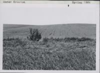 Water erosion in Colony Township; Delaware County, Iowa.