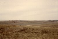 Farmland after harvest