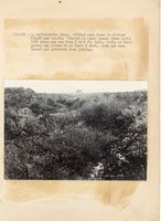 1934 - 1938 Multi-State Photograph Collection  