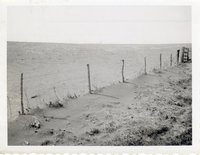 Photograph Collection Of Cropland  