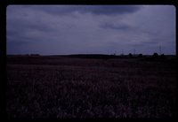 Larry Braby's Farm Before and After a Wetland Construction Project.