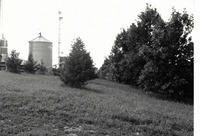 Silo and trees